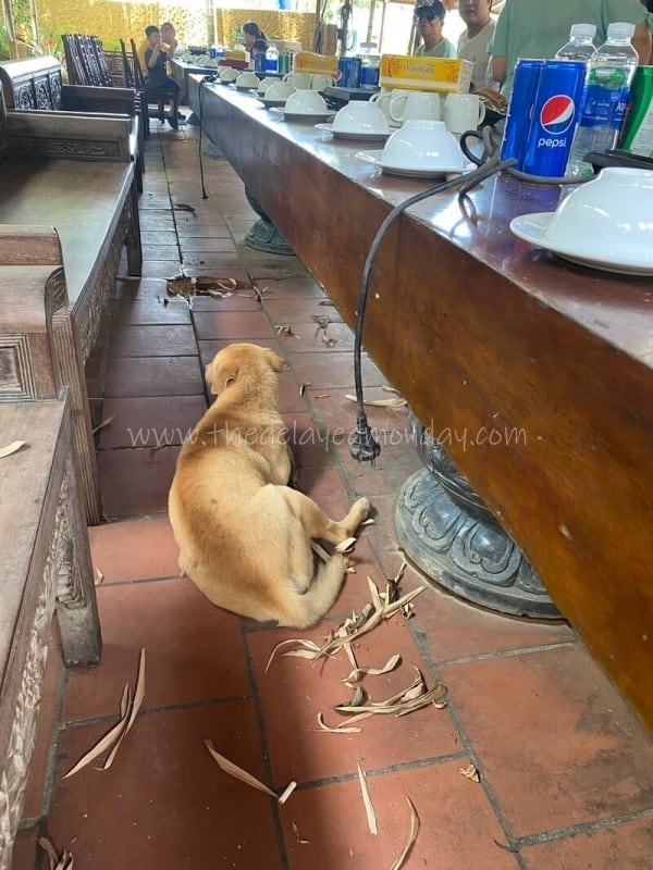 lau cua dong khong ten hoa lac